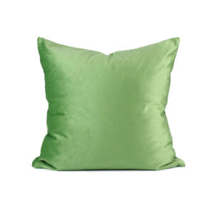 Cushion model: ColorPlay-Lime-01